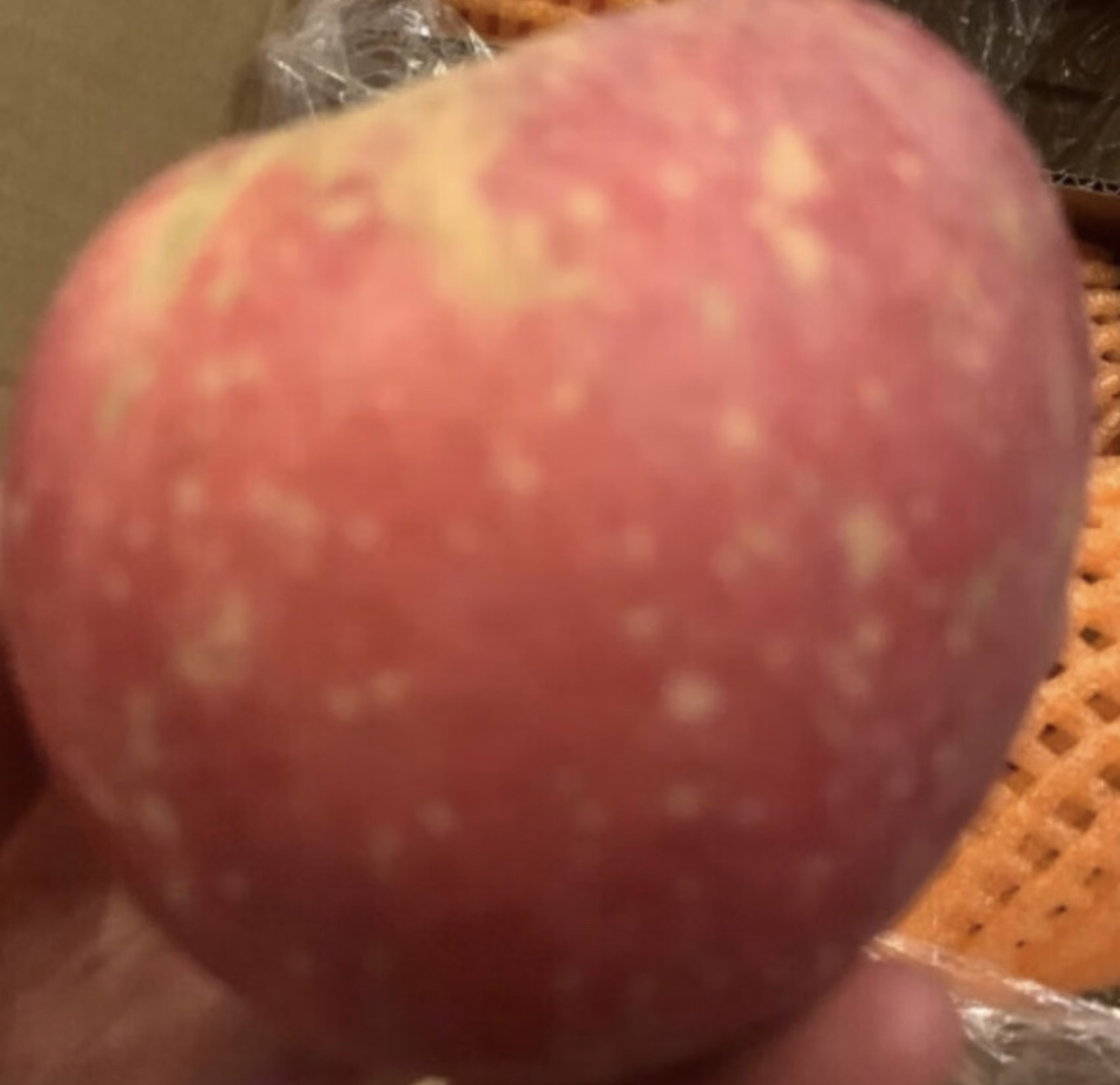 [鲜贝达]山东烟台红富士苹果9斤装大果[80-85mm][净重8.5斤] 新鲜水果晒单图