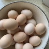 苗佳新 可生食蛋绿色无抗鲜鸡蛋无菌蛋20枚晒单图