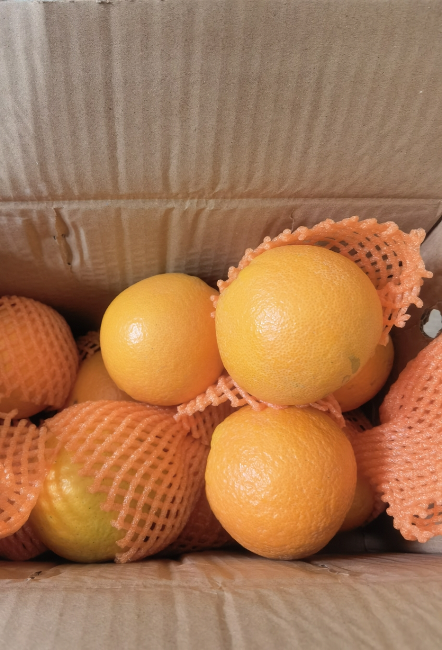 鲜贝达 伦晚脐橙5斤装大果[净重4.5斤][单果70-80mm]新鲜水果橙子晒单图