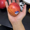 [苏鲜生]新西兰进口gala加力苹果 4粒装单果140g-160g皇后甜脆苹果苹果应季新鲜水果富士阿克苏苹果 顺丰晒单图