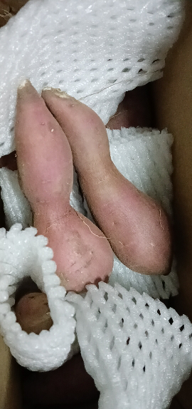 [西沛生鲜]现挖天目小香薯 3斤 当季新鲜黄心番薯农家自种沙地红薯地瓜晒单图