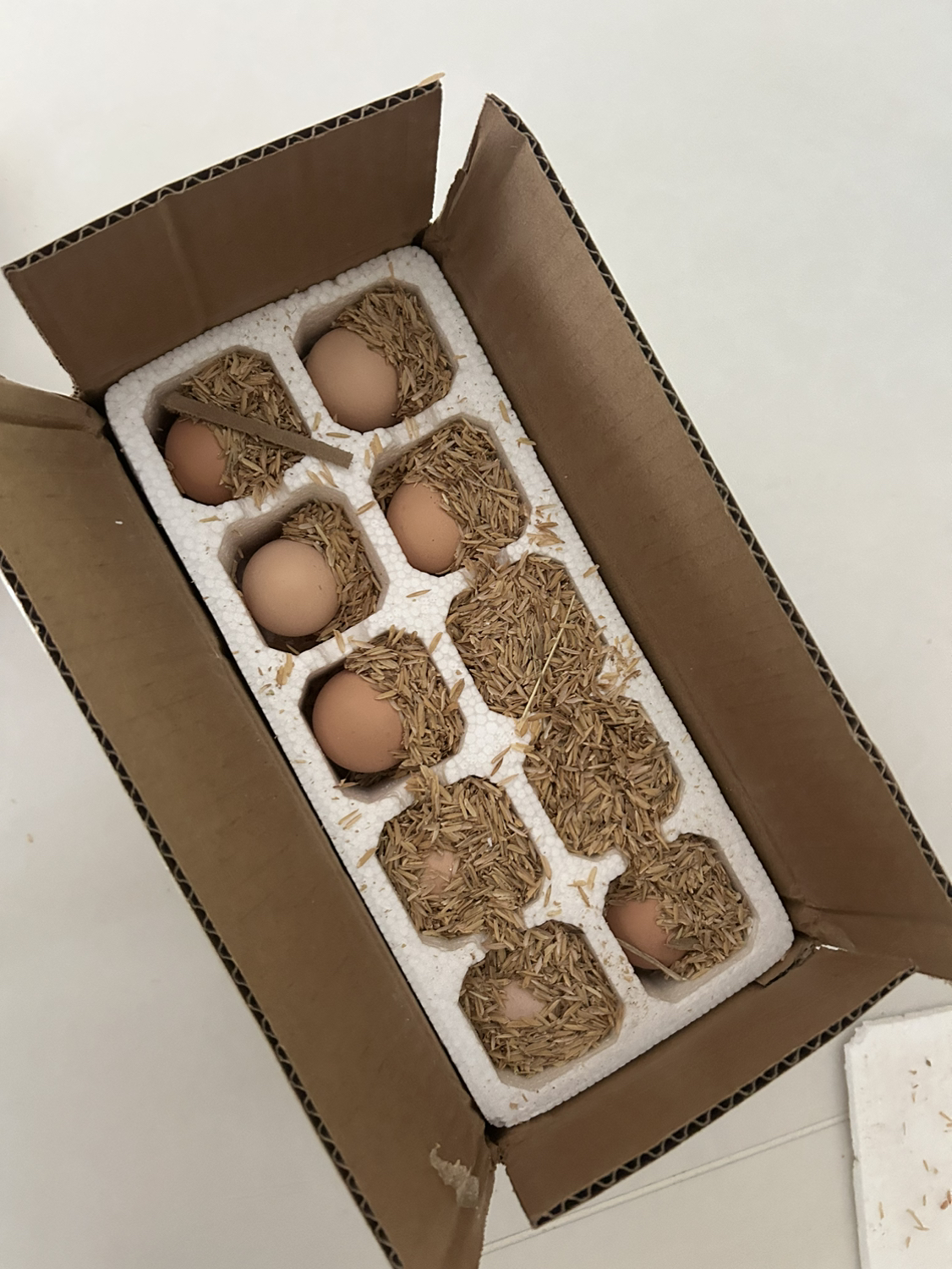 [西沛生鲜] 新鲜谷物鸡蛋 20枚 散养土鸡蛋柴鸡蛋笨鸡蛋草鸡蛋整箱晒单图
