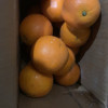 湖南麻阳冰糖橙 5斤礼盒装 冰糖橙小甜橙孕妇新鲜水果应季水果晒单图