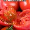 沙瓤普罗旺斯西红柿 3斤大果 肉质细腻 酸甜可口 新鲜蔬菜当季正宗番茄 外包装随机发货晒单图