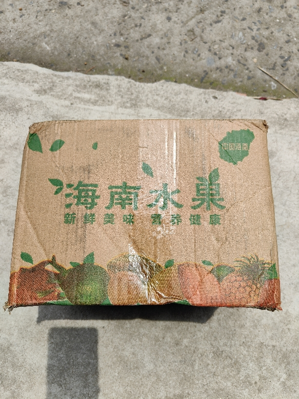 [苏鲜生]海南玉菇甜瓜 净重4.5-5斤 2-3个 蜜瓜香瓜 当季甜瓜新鲜水果 西沛晒单图