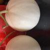 [苏鲜生] 陕西阎良甜瓜 4.5-5斤装 3-6枚 箱装 蜜瓜香瓜 当季甜瓜新鲜晒单图