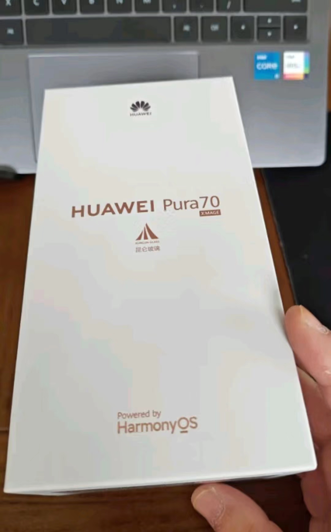 华为/HUAWEI Pura70 12GB+512GB 雪域白 超高速风驰闪拍 第二代昆仑玻璃 双超级快充 华为P70智能旗舰手机晒单图