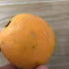 [苏鲜生]正宗伦晚脐橙 净重3斤 单果60mm左右 橙子水果新鲜当季整箱斤果冻甜橙春橙伦晚脐橙晒单图