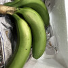 [苏鲜生]福建天宝香蕉3斤箱装 新鲜当季水果 精品 香甜软糯 孕妇宝宝辅食晒单图