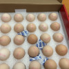 晋龙新鲜鸡蛋六无蛋30枚无鱼腥味无抗生素添加晒单图