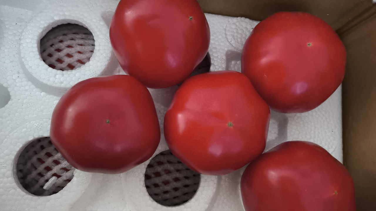 [苏鲜生]山东新鲜普罗旺斯西红柿 番茄 沙瓤西红柿 净重4.6-4.8斤 箱装 新鲜蔬菜晒单图