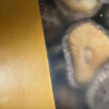 草本家 香菇250g香菇干货干香菇 农家自产野生蘑菇椴木香菇干无根干香菇晒单图