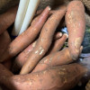 [苏鲜生]山东烟薯25号 净重5斤 小果 红心糖心蜜薯 新鲜农家沙地超甜地瓜山芋晒单图