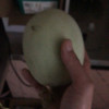 [苏鲜生]海南玉菇甜瓜 净重4.5-5斤 2-3个 蜜瓜香瓜 当季甜瓜新鲜水果 西沛晒单图