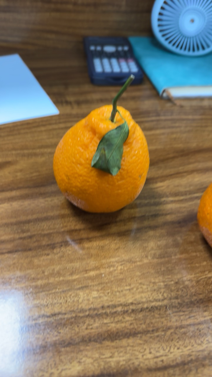 四川不知火丑橘 9斤 中果65-75-mm 丑八怪橙子新鲜柑橘蜜桔 新鲜水果生鲜陈小四水果四川特产晒单图