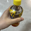 康师傅冰红茶小瓶装茶饮料330ml*3瓶柠檬饮料晒单图