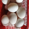 [西沛生鲜]河南 新鲜生鸭蛋 20枚 60-70g/个 农家散养新鲜正宗土鸭子晒单图