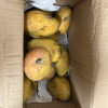 [西沛生鲜]新鲜小台芒果 净重3斤装 中果 单果90-130g 新鲜水果 香甜可口晒单图