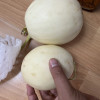 [西沛生鲜]陕西阎良甜瓜 2.8-3斤装 2-3枚 箱装 蜜瓜香瓜 当季甜瓜新鲜水果晒单图