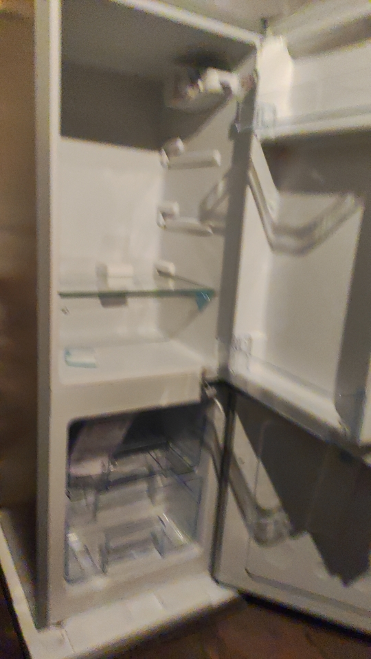 荣事达(Royalstar)132升迷你冰箱小型双门电冰箱家用宿舍冷冻冷藏节能一级能效BCD-132L9RSZ(银)晒单图