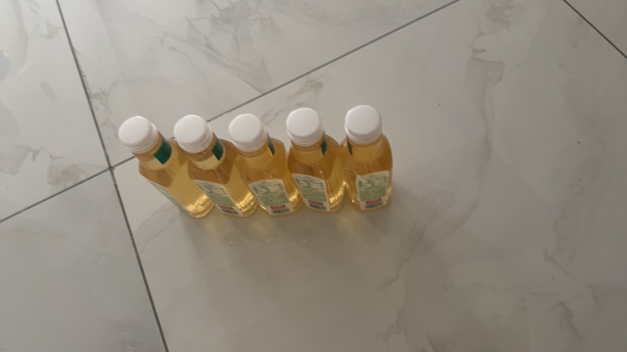 东方树叶绿茶500ml*5瓶晒单图