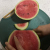 鲜木 西瓜无籽8424 冰糖麒麟西瓜 时令新鲜水果皮薄多汁精选品质整箱1粒装大果净重[3-4斤]晒单图
