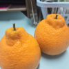 四川不知火丑橘 3斤 中果65-75mm 丑八怪橙子新鲜柑橘蜜桔 新鲜水果生鲜陈小四水果四川特产晒单图