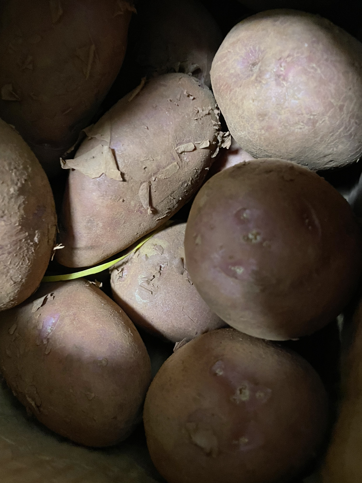 鲜贝达 红皮土豆5斤大果[单果120-500g]晒单图