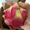 [西沛生鲜] 京都一号红心火龙果 净重2.8-3.2斤 中果 箱装 热带 水果 当季新鲜晒单图