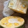 海南黄肉菠萝蜜 1个20-25斤 新鲜水果 生鲜水果 国产水果 陈小四水果 海南特产晒单图