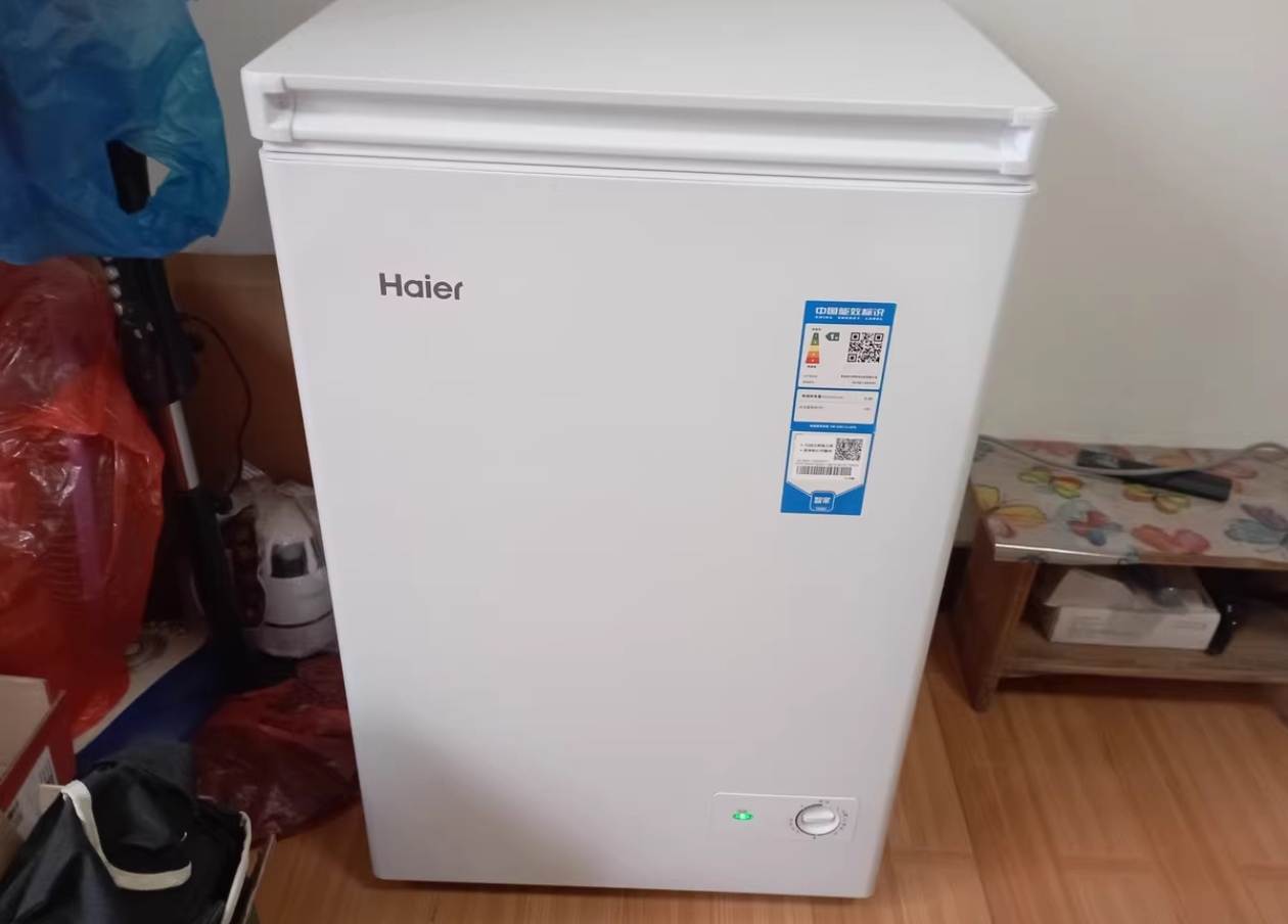 海尔(Haier)100升家用卧式冰柜 冷柜 小冰箱 1级能效晒单图