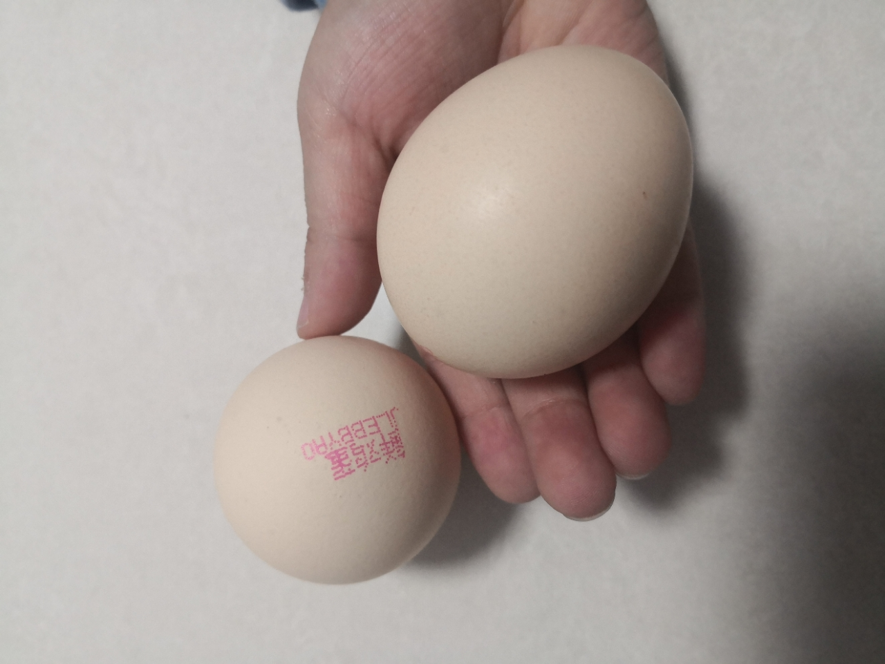 苏宁超市自营 晋龙 新鲜鸡蛋10枚红心蛋非农家散养鸡蛋晒单图