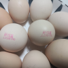 苏宁超市自营 晋龙 新鲜鸡蛋10枚红心蛋非农家散养鸡蛋晒单图