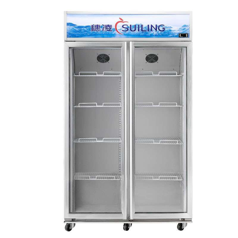 穗凌SUILING 立式冷柜 LG4-682M2F大冰柜商用超市立式冷藏保鲜展示柜 冷柜陈列柜