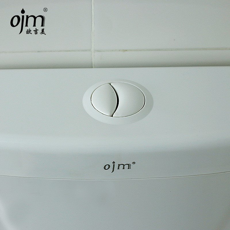 欧吉美 水箱 蹲便器静音水箱 厕所冲水箱 双按式节能水箱 OJM- 01