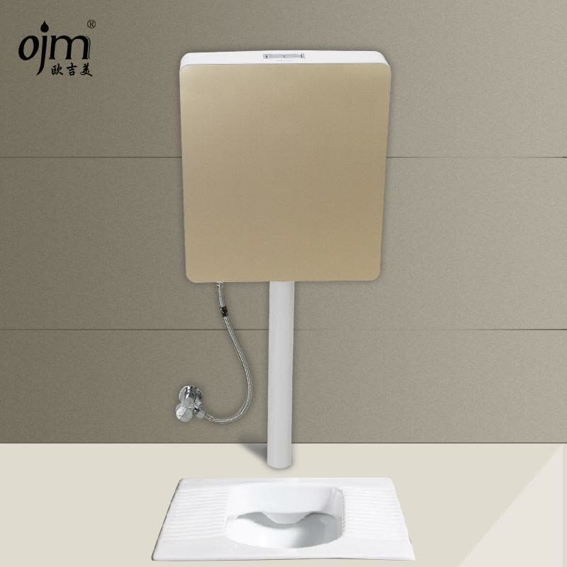 欧吉美 水箱 厕所水箱 蹲便器便池水箱 卫浴冲水箱节能静音水箱 铝塑面板土豪金水箱 OJM-10图片