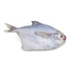 怡鲜来 东海冷冻白鲳鱼500g 2条装 新鲜海鲜 肉嫩少刺 宝妈辅食