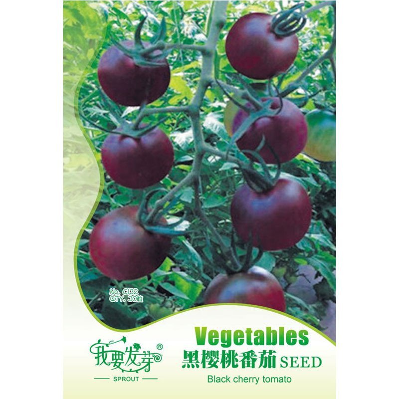 我要发芽 蔬菜种子 黑樱桃番茄种子 台湾引进圣女果 小番茄 味甜多汁 不易裂果 阳台庭院大田均可种植 无限生长30粒/包