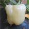 我要发芽 蔬菜种子 白玉甜椒种子 中晚熟白色菜椒 灯笼椒 8粒/包