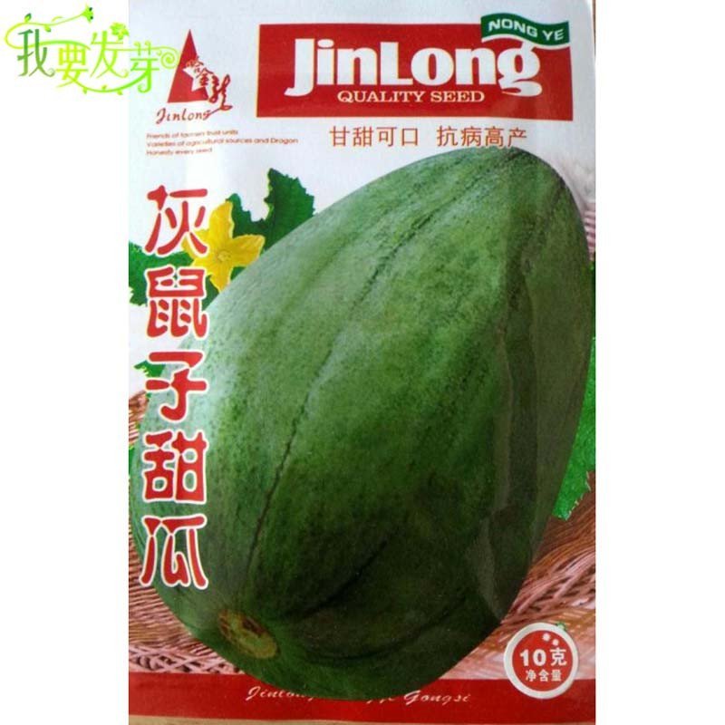 我要发芽甜瓜种子灰鼠子甜瓜甜瓜种子白糖罐甜瓜小香瓜种子10克包