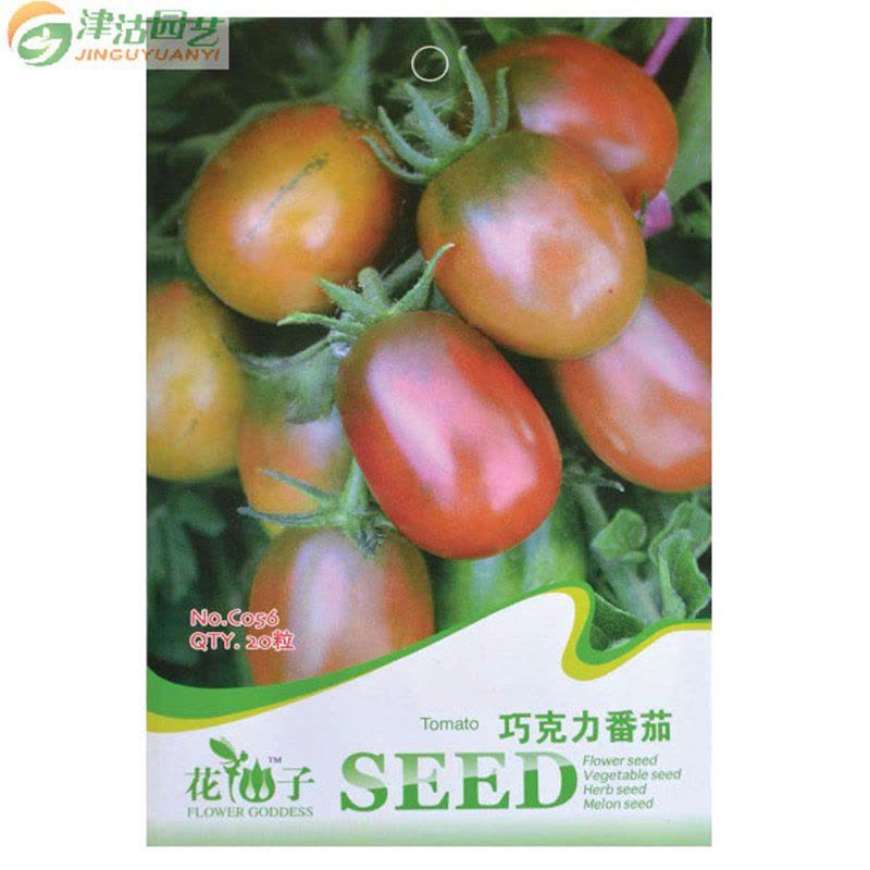 蔬菜种子 水果番茄种子 巧克力番茄 阳台盆栽约20粒图片