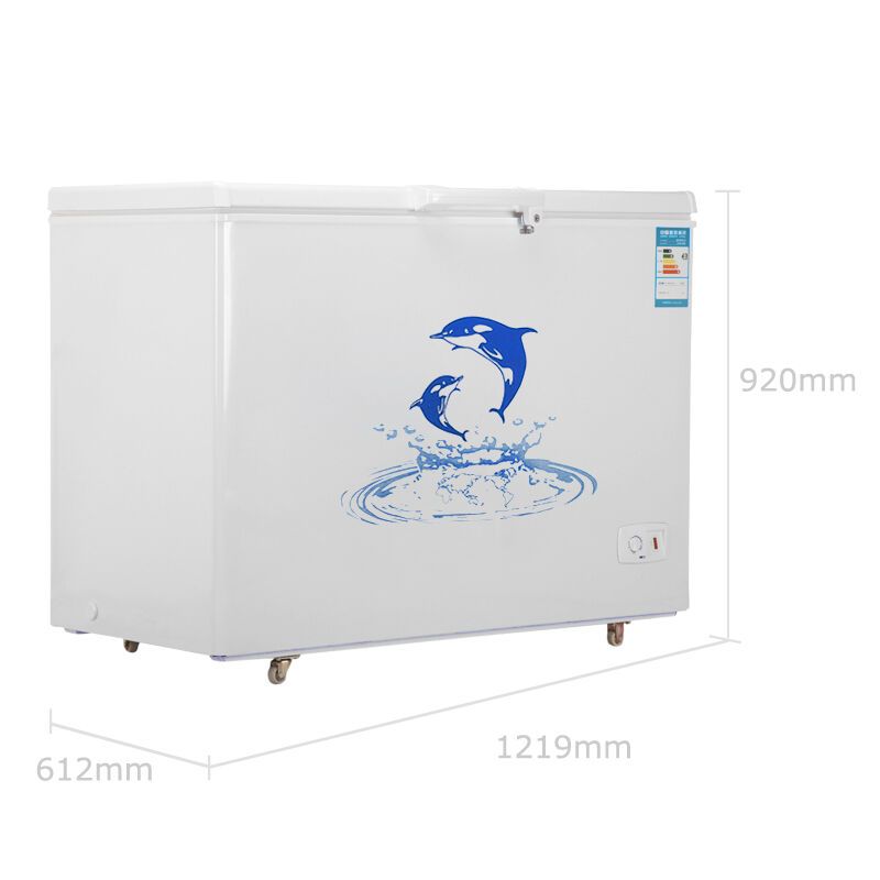 澳柯玛(AUCMA)BC/BD-325NA 325升卧式单温一室冰柜 商用冷藏冷冻转换冷柜