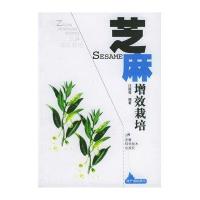 芝麻增效栽培