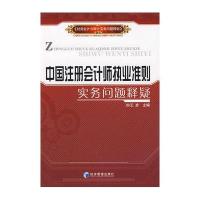 中国注册会计师执行准则实务问题释疑