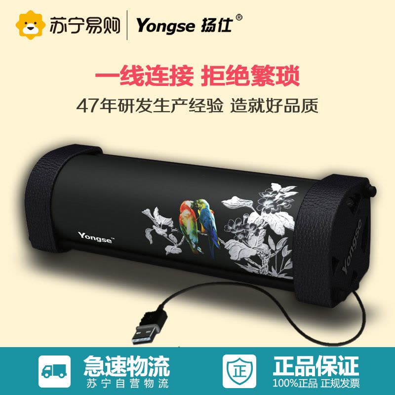 扬仕(Yongse)UB-200笔记本电脑音箱音响图片