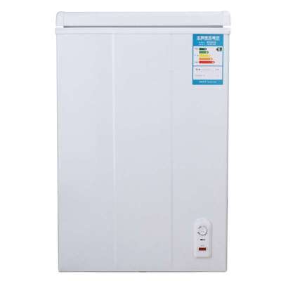澳柯玛100升冷柜家用小冰柜全冷冻冷藏两用卧式一级单温冷柜冰箱