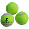 乐士ENPEX训练用网球(3只装)