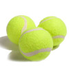 朗宁/LANGNING 稳定耐打型 训练陪练 网球 训练用球 3个装不带线网球