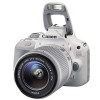 佳能(Canon) EOS 100D KIT(EF-S18-55ISSTM)入门级单反相机 (白)