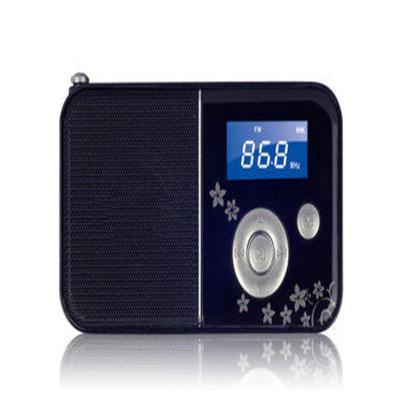 熊猫插卡收音机DS-141